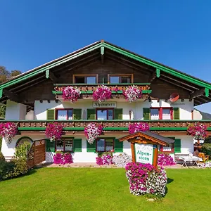 3* Guest house - Alpenstern